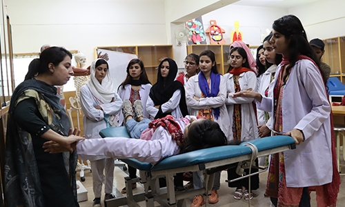 Doctor of Physical Therapy (DPT)